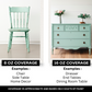 Mint Sage Green Chalk Paint and Clay Paint  Cosmic Conquest