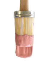 Botanical - Soft Coral Pink  Blushing Coral Clay and Chalk Paint