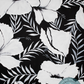 Black and white floral art pattern with hibiscus flowers and leaves, featuring a central watermark from 'daydream apothecary'